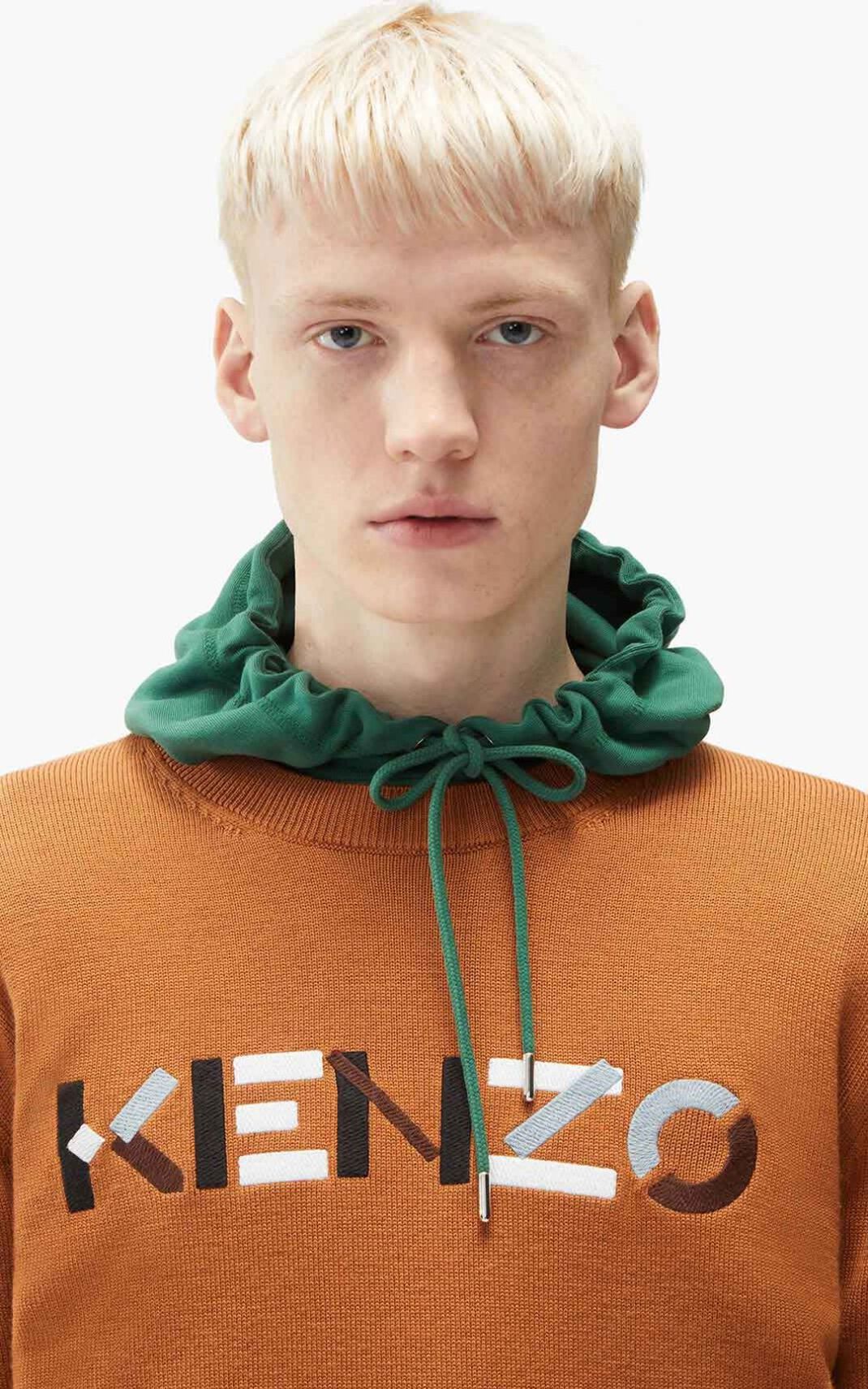 Kenzo Logo merino wool Moška Pulover Rjav SI-7592874